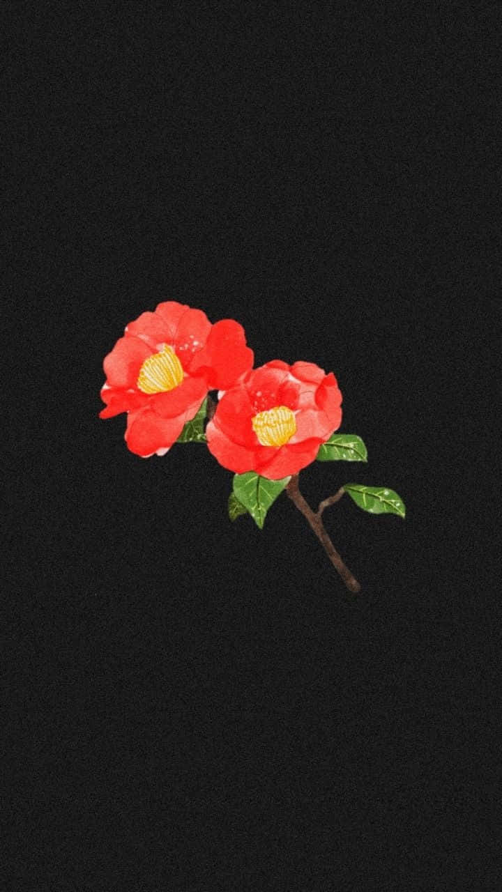 兩朵紅色山茶花，帶有黃色花心，在黑色背景的枝條上。