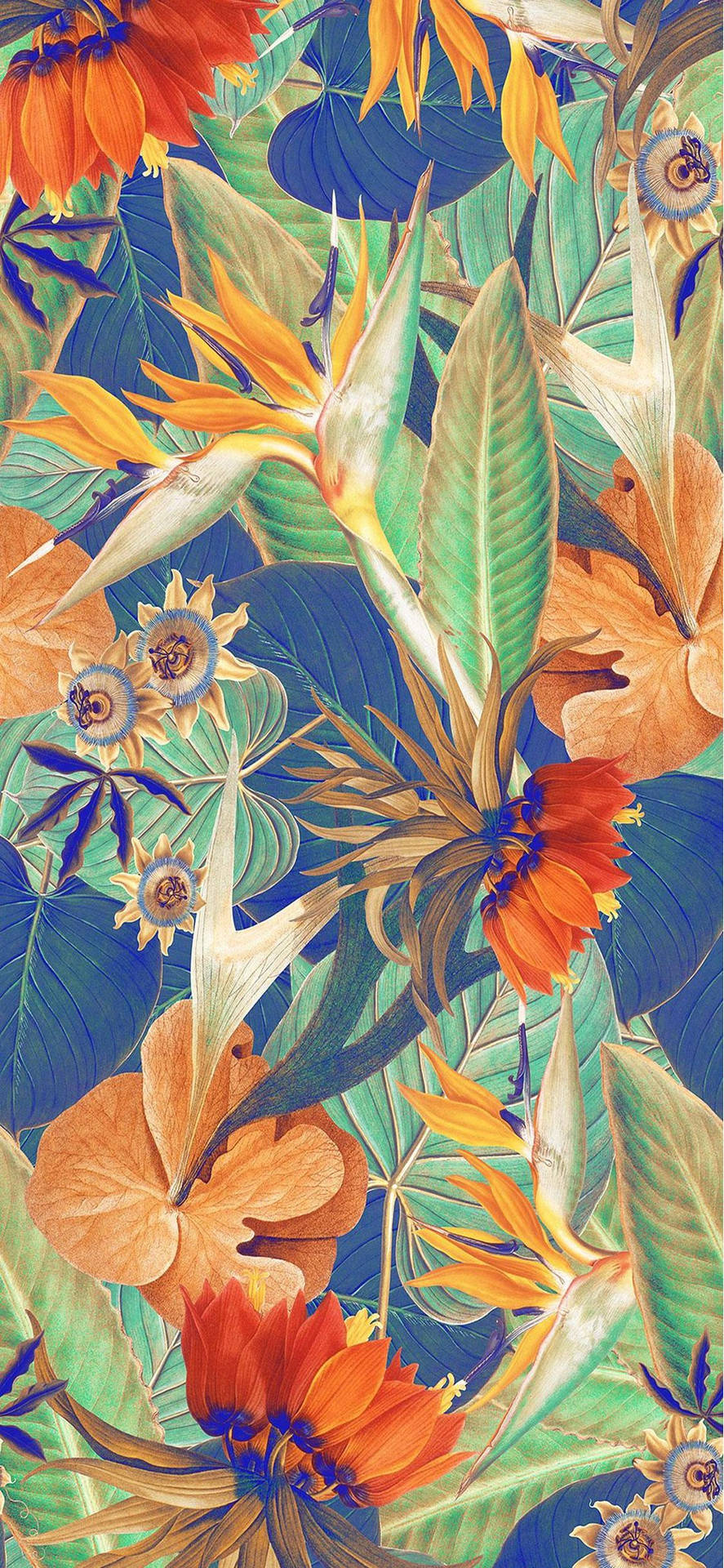 熱帶花卉圖案，橙色天堂鳥和綠色葉子在藍色背景上。