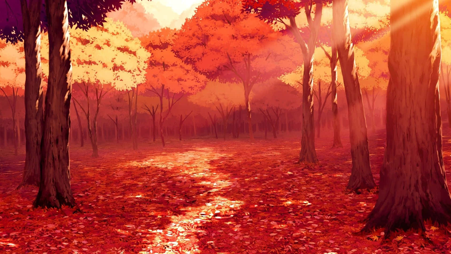 陽光穿過秋樹，在佈滿紅葉的森林地面上投射出溫暖的光輝。