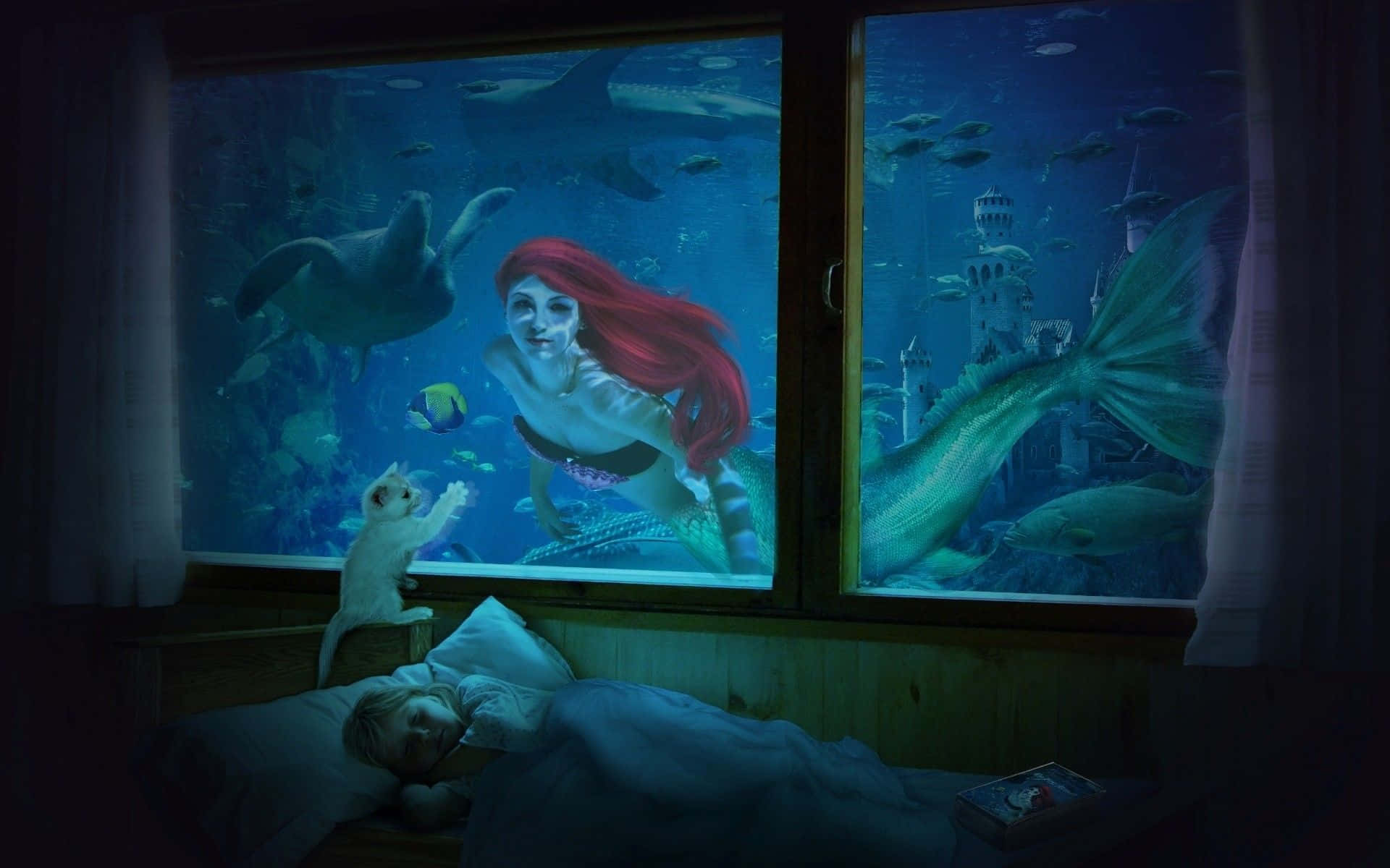 一個孩子睡覺時，美人魚和海洋生物在一個巨大的水族箱窗戶中游泳。