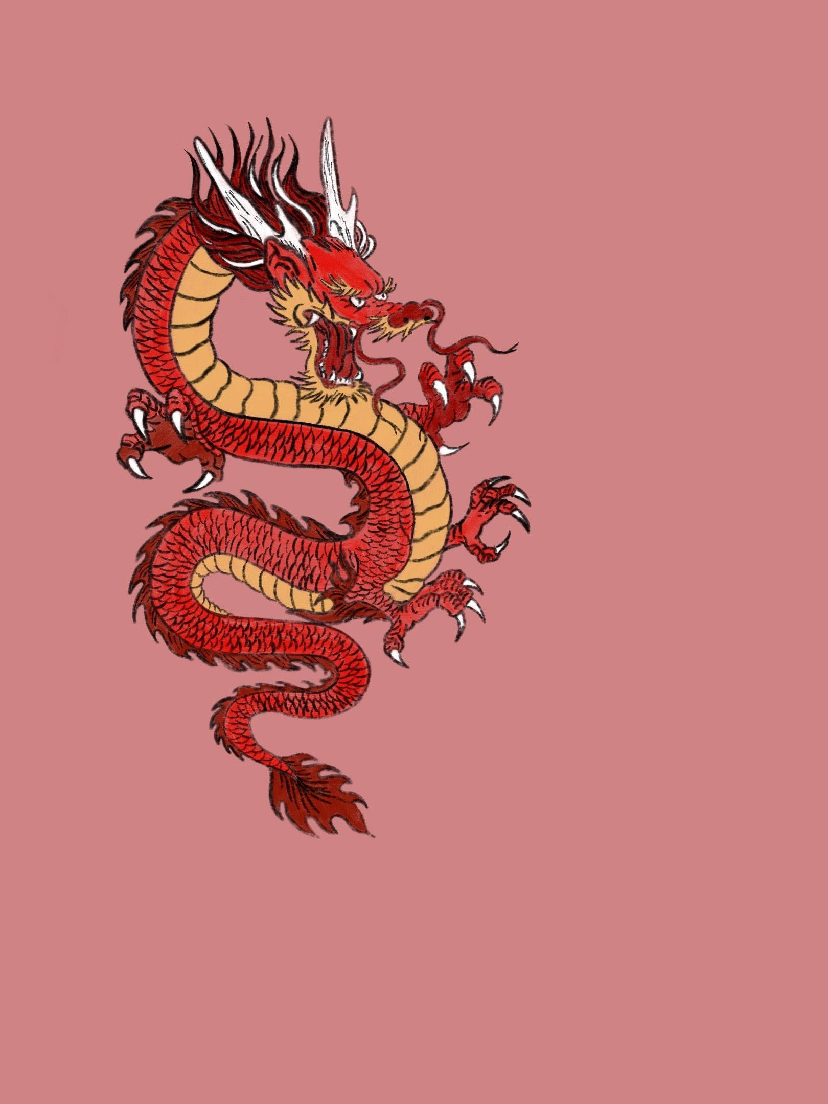紅鱗日式龍 壁紙 — 一條鮮豔的紅金色中國龍，帶有白色角和爪，在純色塵土玫瑰色背景上動態盤繞。