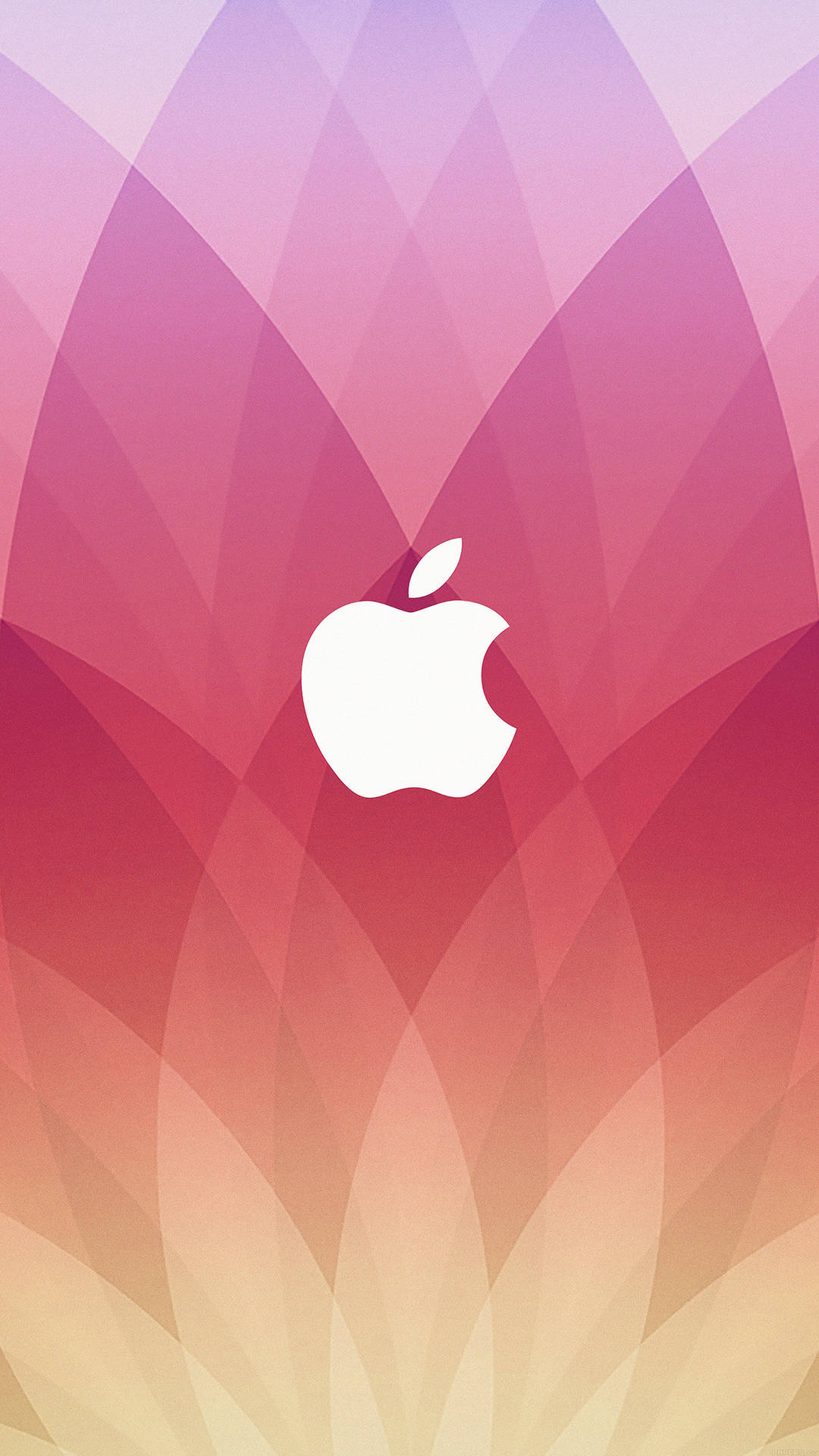 Apple標誌在彩色幾何漸變背景上