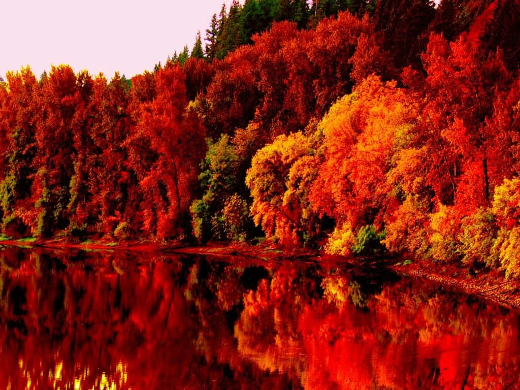 秋林，紅橙色的樹木倒映在平靜的湖中。