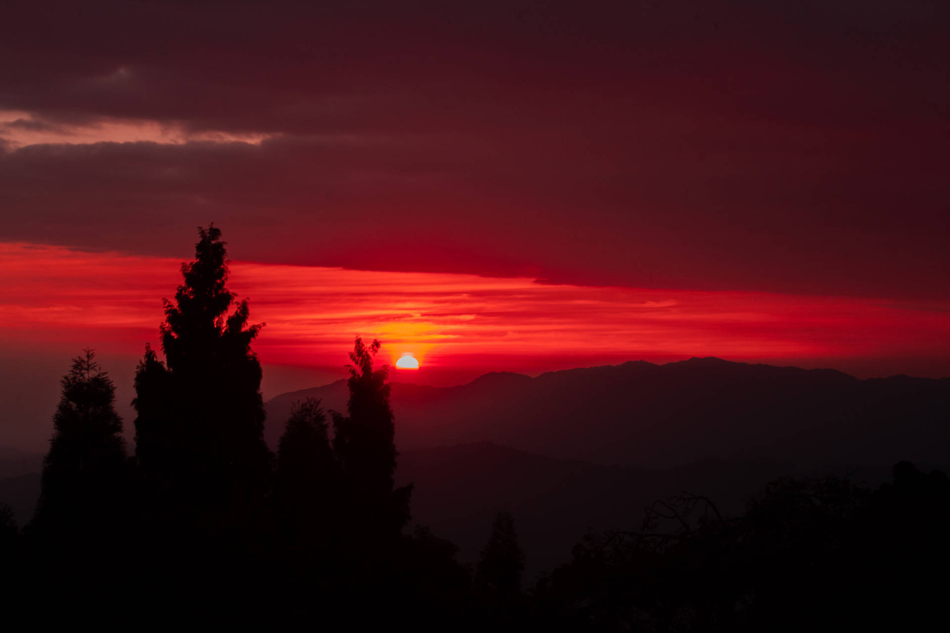 剪影樹木映襯著遠山上方鮮豔的紅色夕陽。