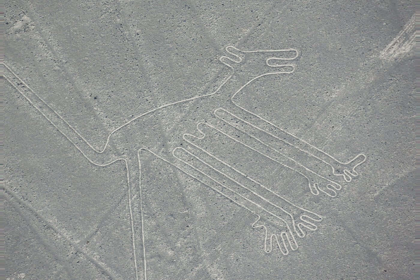 納茲卡線的空中視角 壁紙 — 古代納斯卡線條的鳥瞰圖，描繪了一隻風格化的蜂鳥蝕刻在灰色的沙漠地形中。