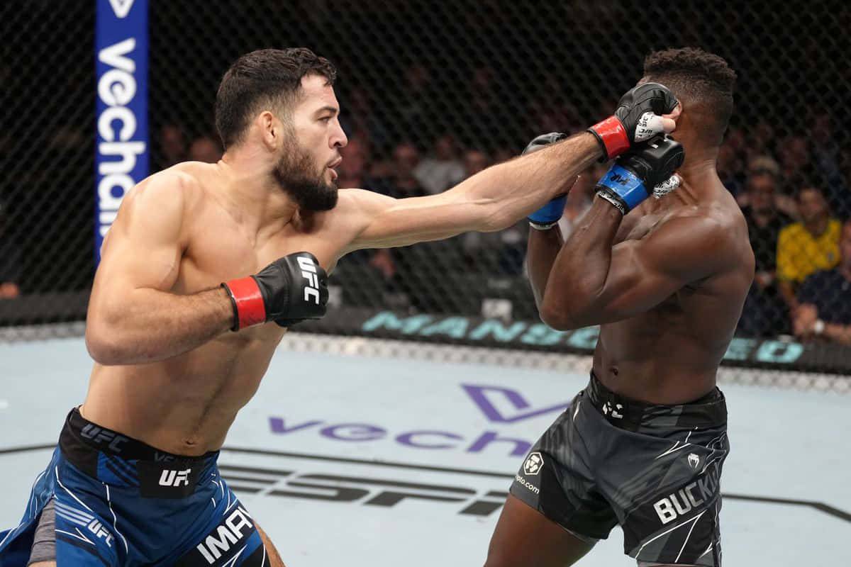 兩名男性MMA拳手在鐵籠內進行高強度比賽。