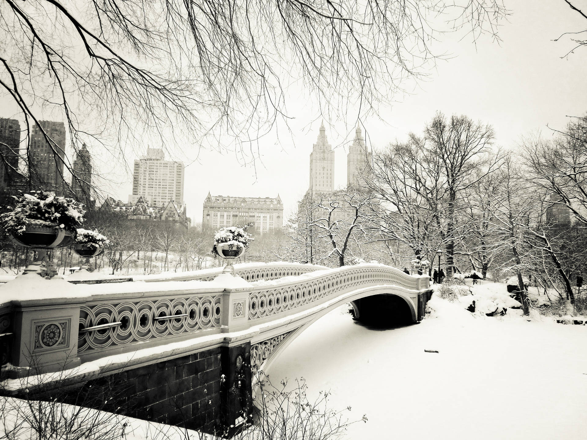 白雪覆蓋了中央公園的一座裝飾橋，背景有光禿禿的樹木和城市建築。