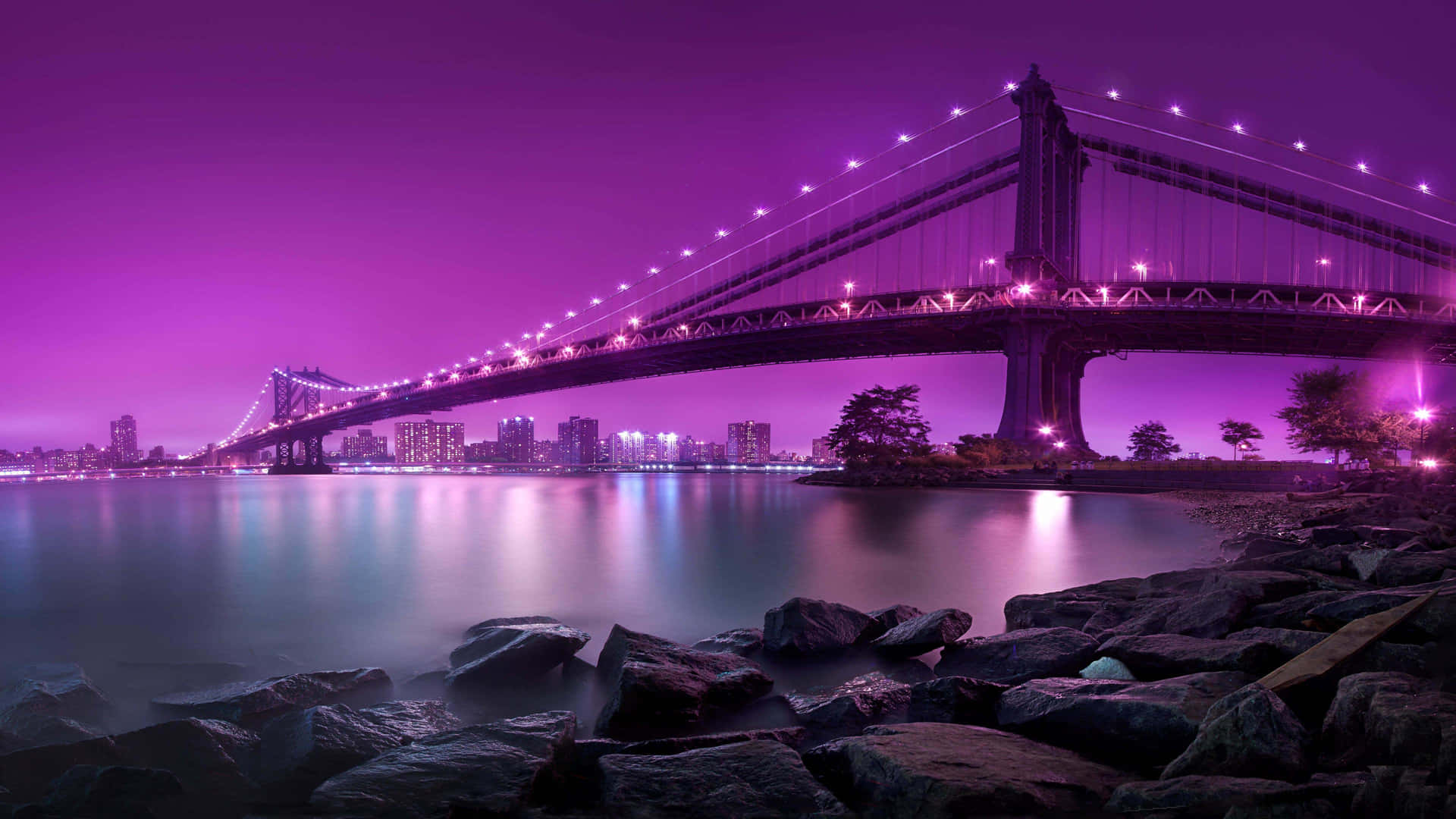紫色燈光的吊橋，夜間水面與城市燈光。