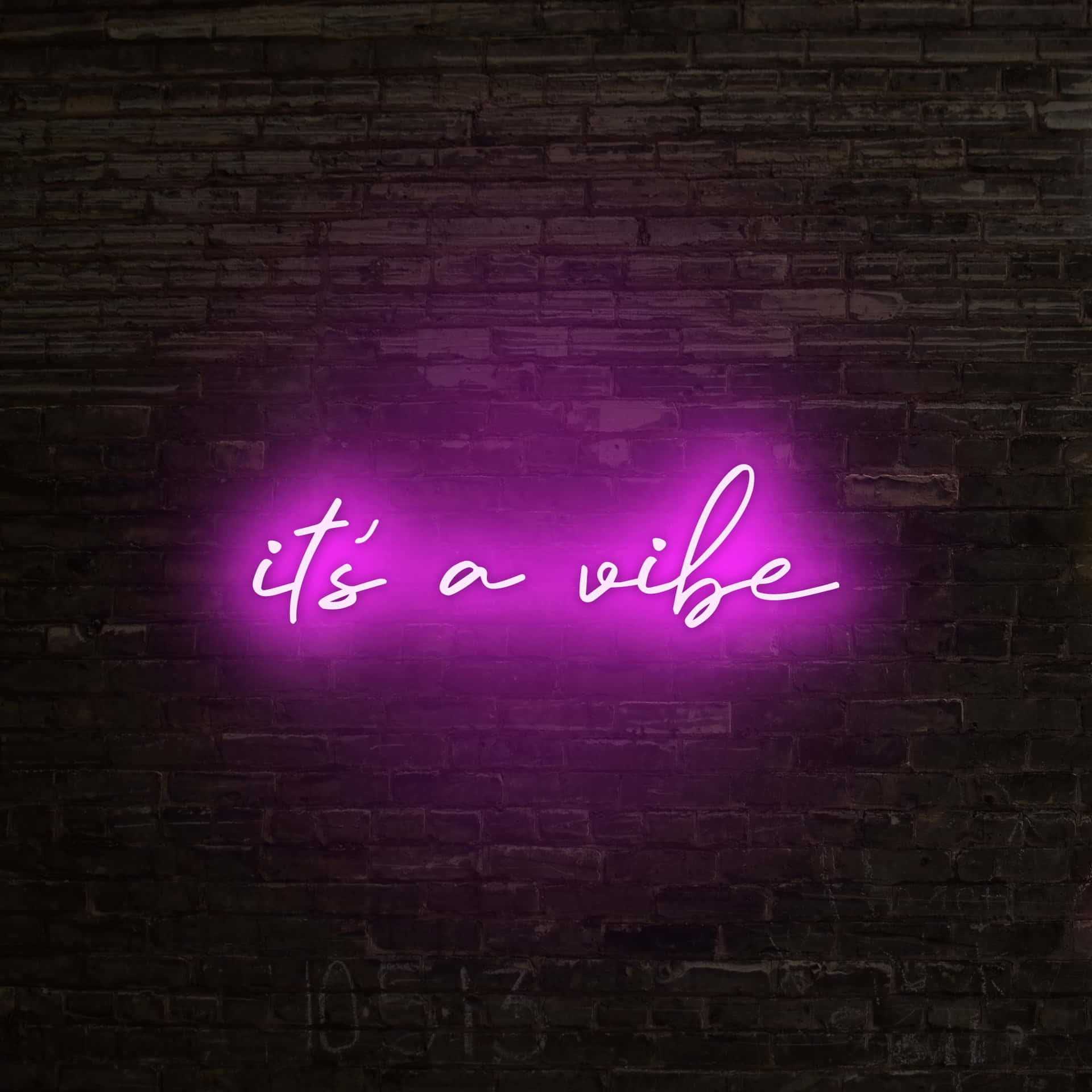 深色磚牆上寫著「it's a vibe」的紫色霓虹燈牌。