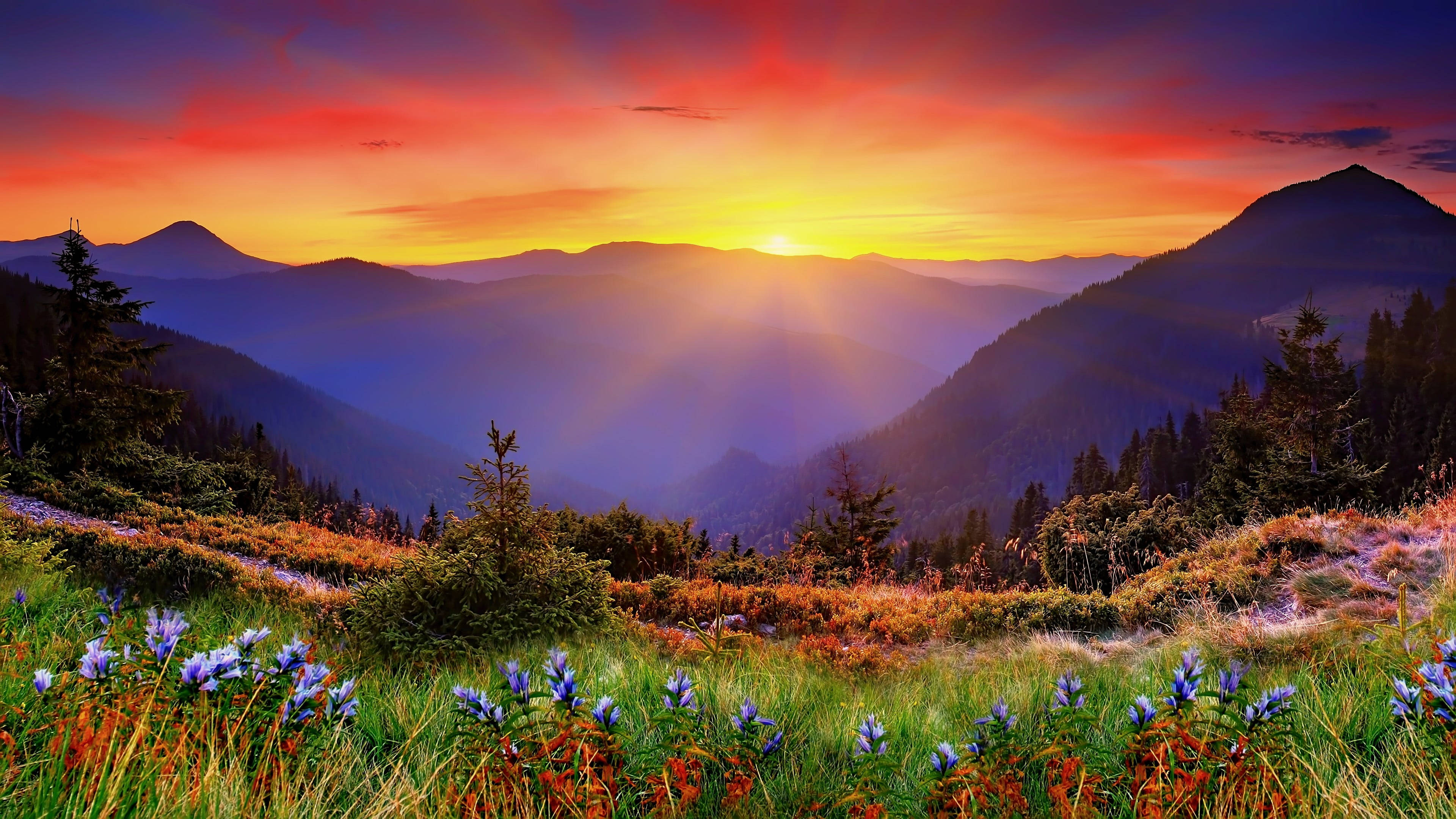 紐西蘭山景 壁紙 — 夕陽將山峰染成火橙色和紫色，光線穿過點綴著藍色野花的山谷。