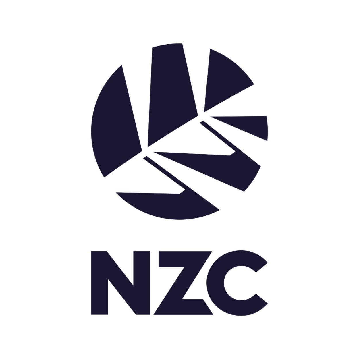 深藍色幾何標誌，白色背景上帶有 NZC 文字
