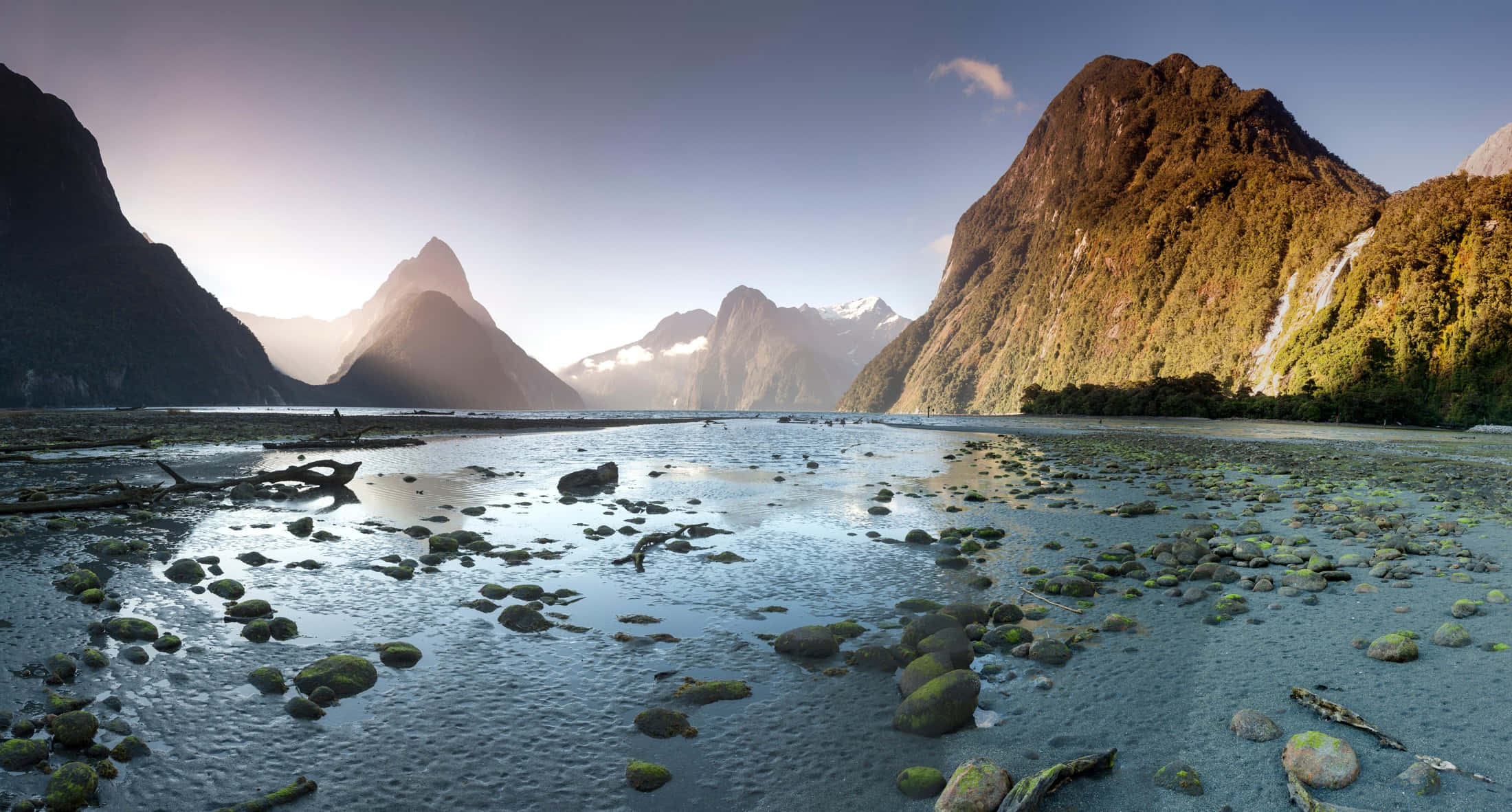紐西蘭米爾福德峽灣的壯麗風景 壁紙 — 陽光沐浴著高聳的綠色山脈和一個平靜、反射的峽灣，點綴著長滿苔蘚的岩石。