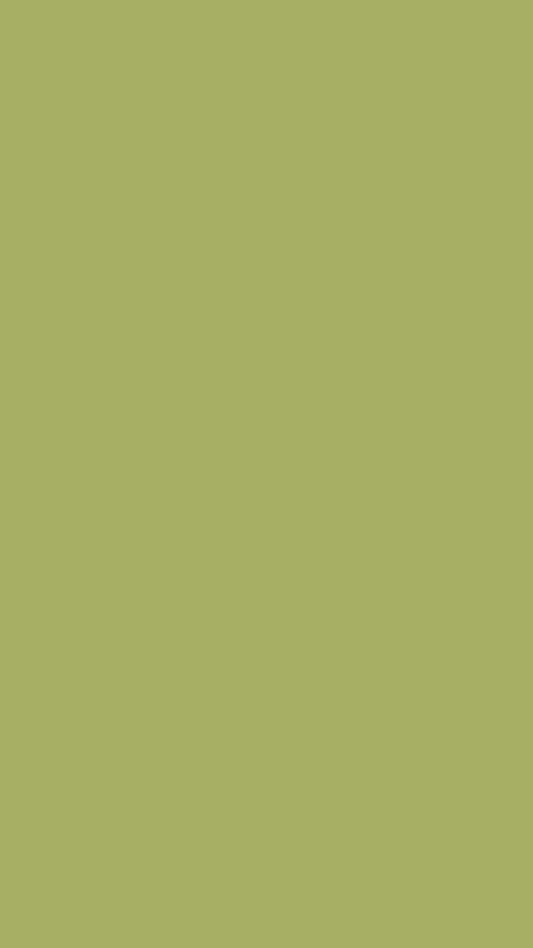 Olive Green 桌布 壁紙 — 純橄欖綠色背景，沒有可見的物體或細節。