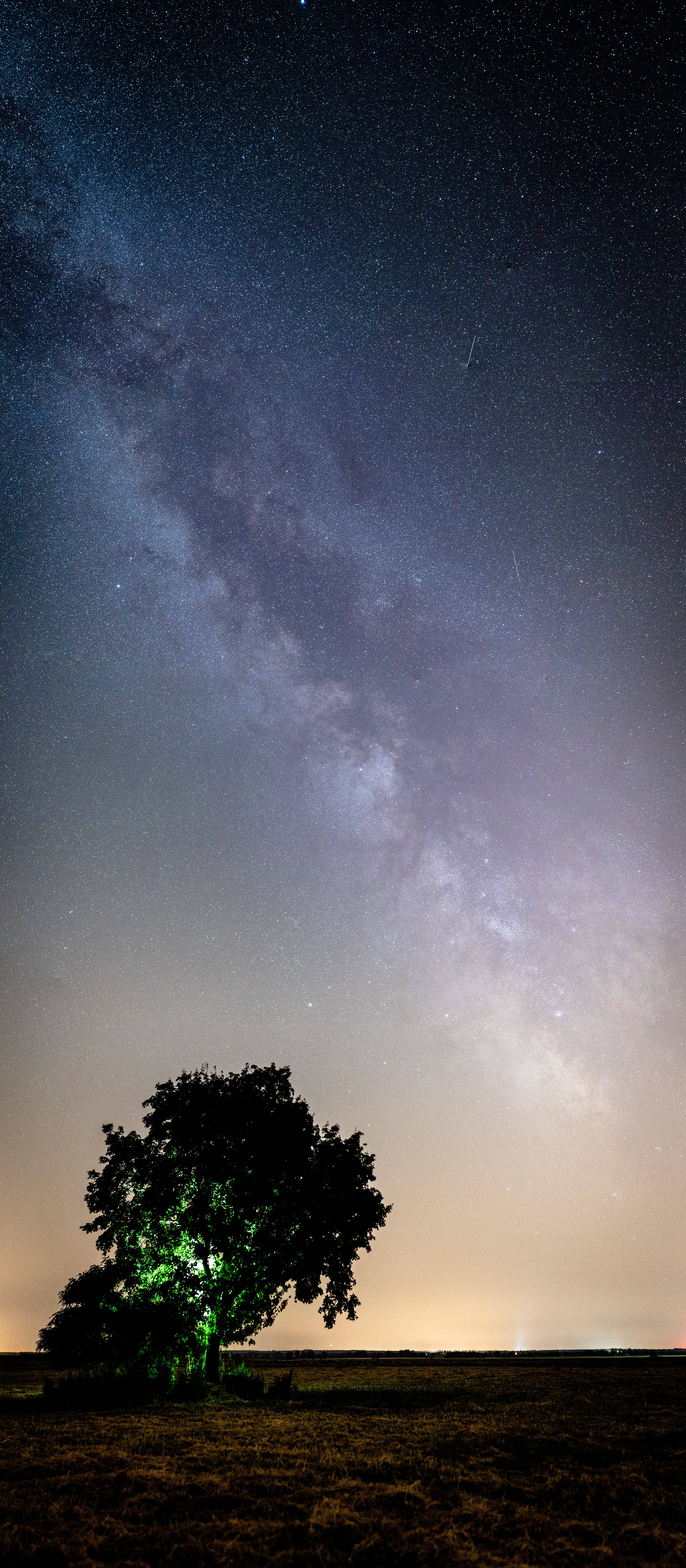 純淨 HD iPhone 夜間鄉村天空 壁紙 — 一棵孤樹剪影映襯著充滿活力的星空，銀河拱掛其上。