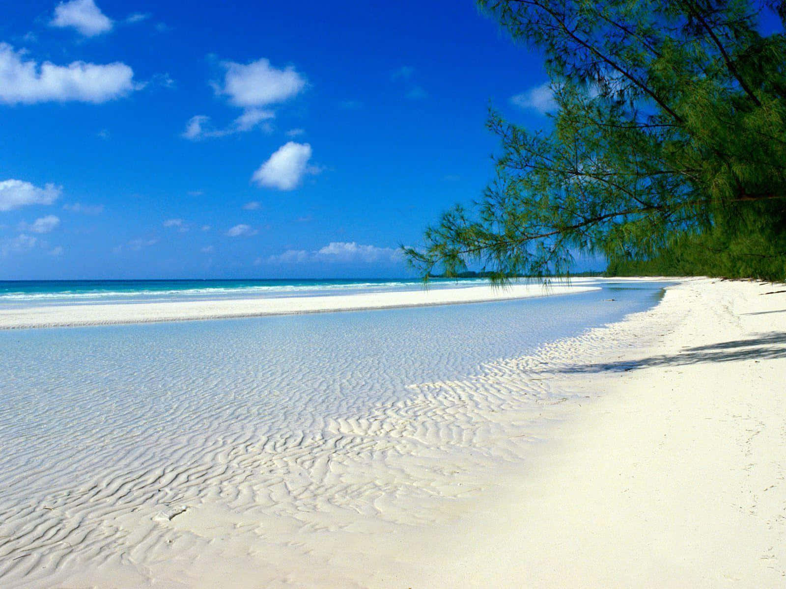 Bahamas Beach 桌布 壁紙 — 純淨的白色沙灘在蔚藍天空、零星雲朵和碧綠海浪下蜿蜒伸展。