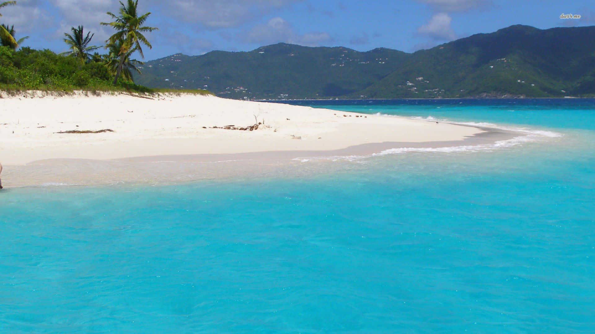 Bahamas Beach 桌布 壁紙 — 純淨的白色沙灘沿著碧綠的海水蜿蜒，茂密的綠色山丘和棕櫚樹在明亮的藍天下。