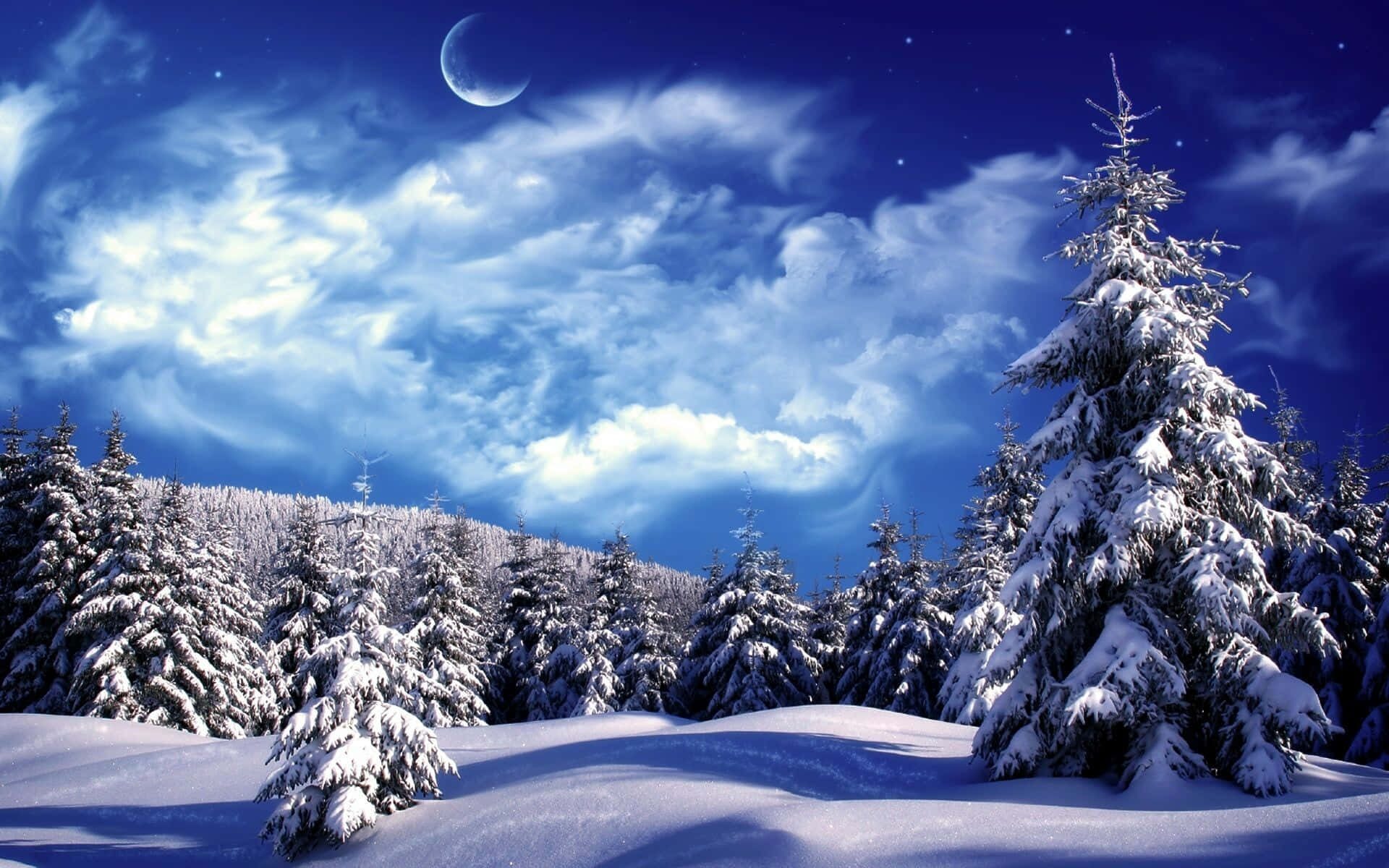 月光照耀的夜空下，藍色雲彩中的雪松。