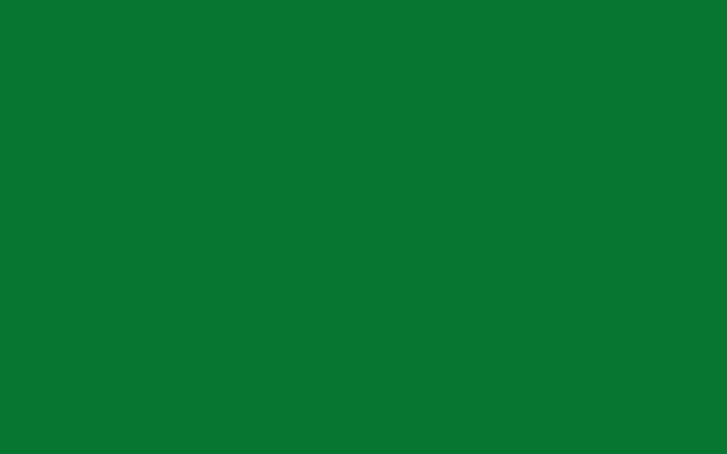 Green Solid Color 桌布 壁紙 — 純深綠色背景，沒有可見的物體或細節。