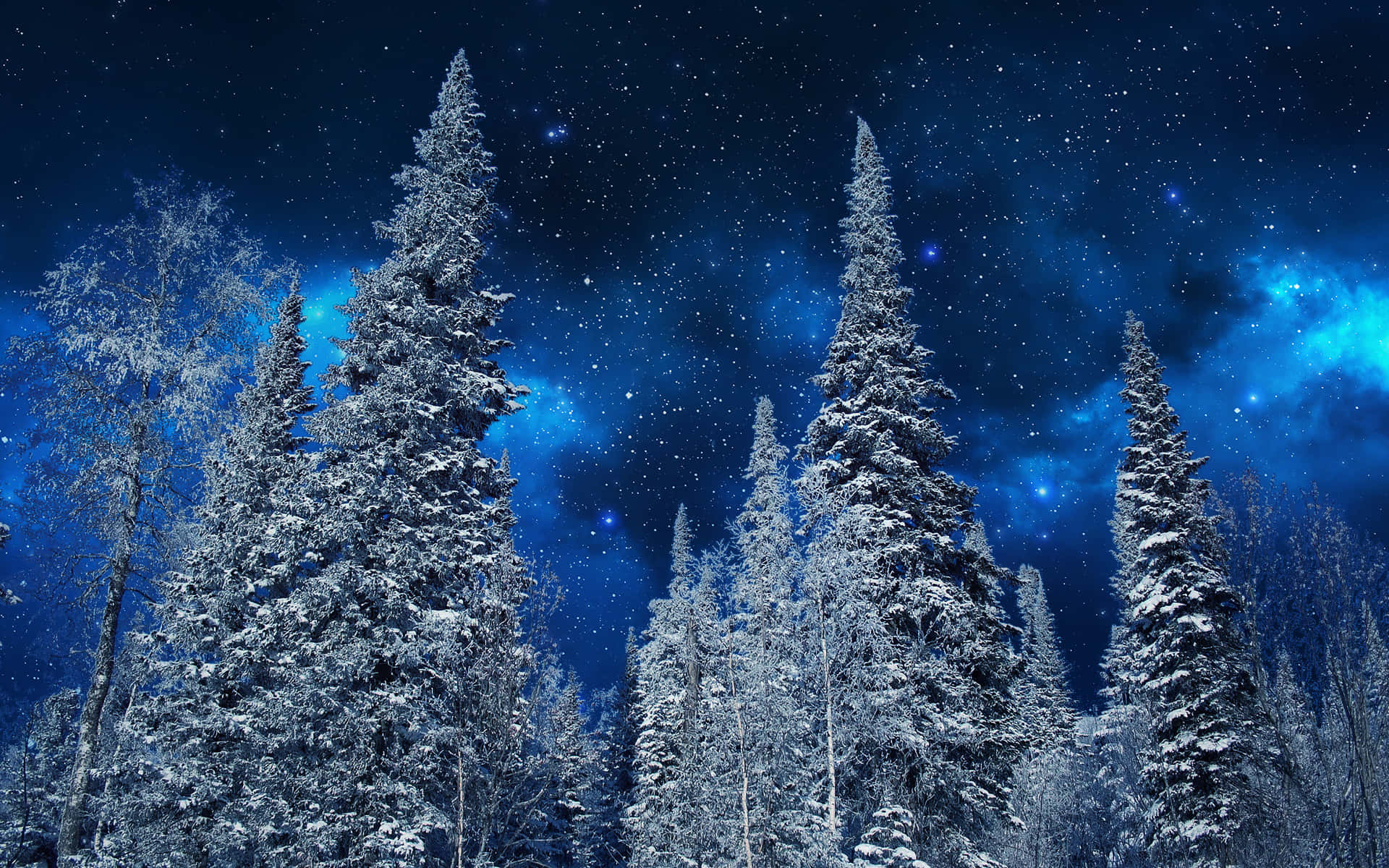 在閃爍藍色星雲的星空夜空下的雪松。