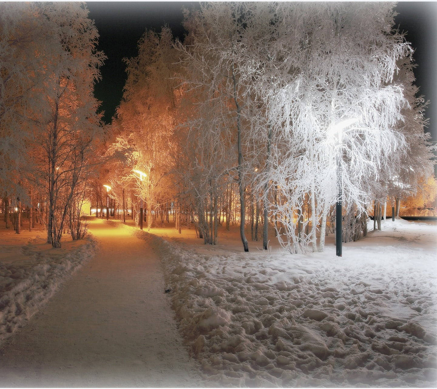 純白冬日公園的溫馨氛圍 壁紙 — 一條白雪覆蓋的小徑蜿蜒穿過掛滿霜的樹木，在黑暗的冬夜天空下，溫暖的路燈照亮了它們。