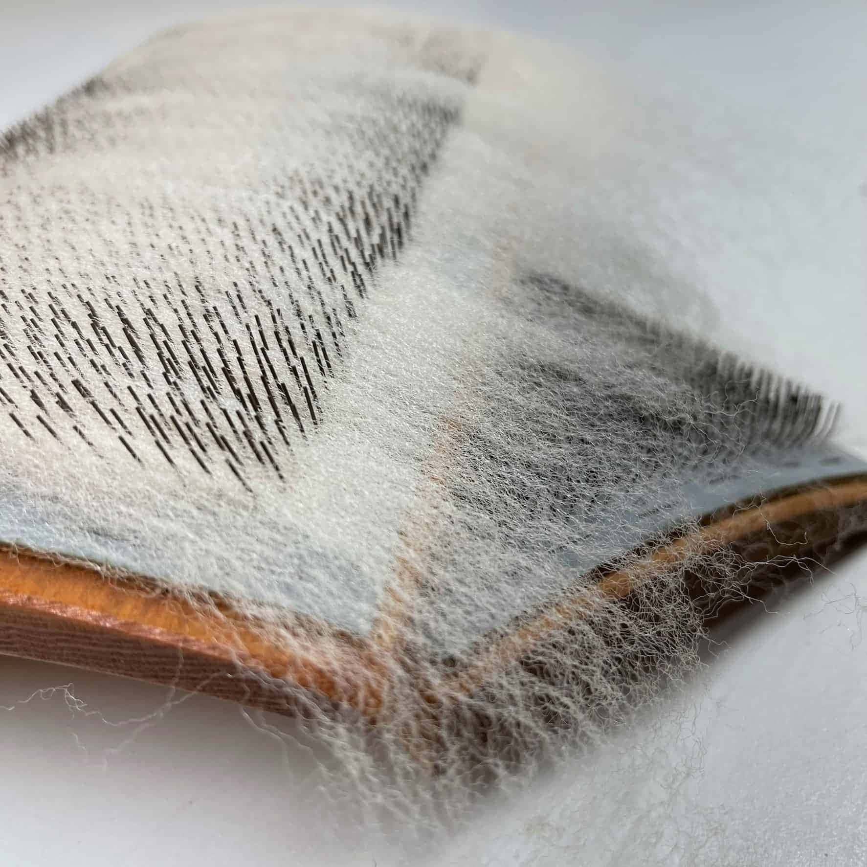 Cobwebs 桌布 壁紙 — 純白色背景上，一把木梳上佈滿細白和黑色髮絲的特寫。