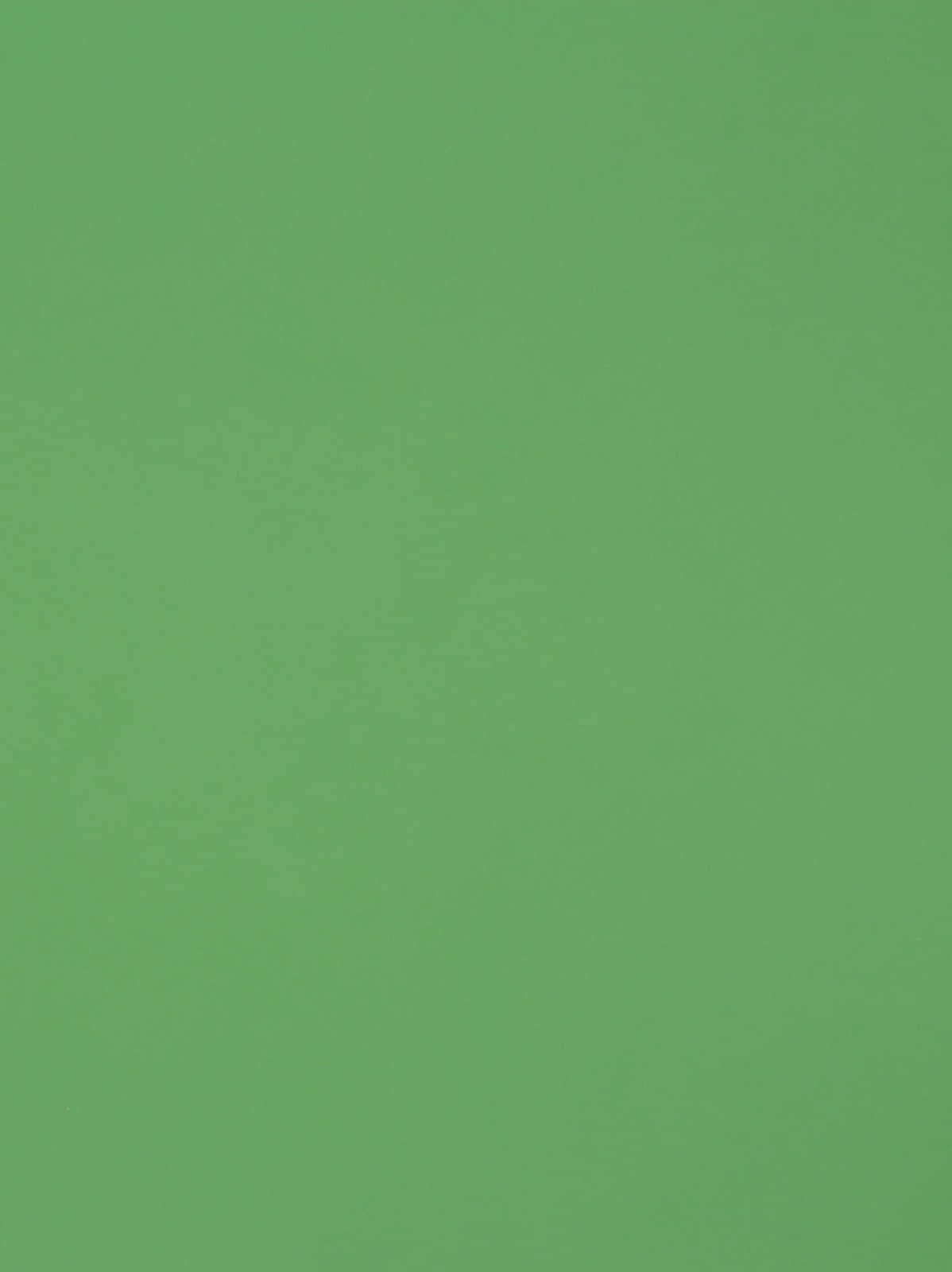 Green Solid Color 桌布 壁紙 — 純色柔和綠色背景，表面帶有細微的紋理變化。