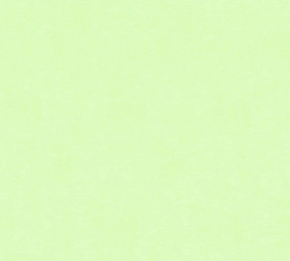 Green Solid Color 桌布 壁紙 — 純色淺綠色紋理背景，表面帶有微妙的斑駁變化。