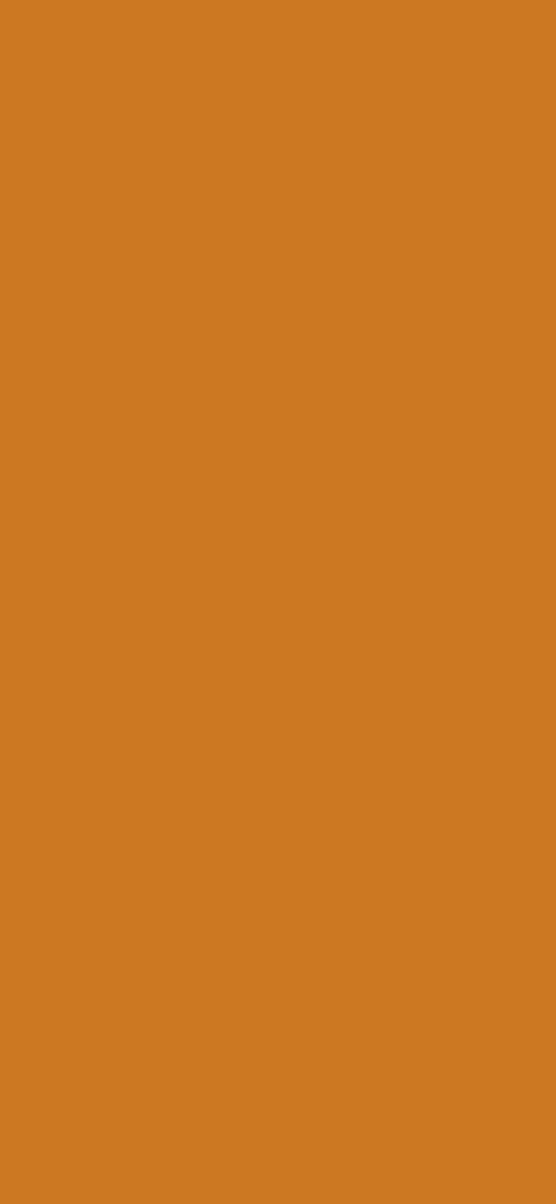 Fall Colors 桌布 壁紙 — 純色溫暖陶土橙色背景，沒有可見的物體或圖案。