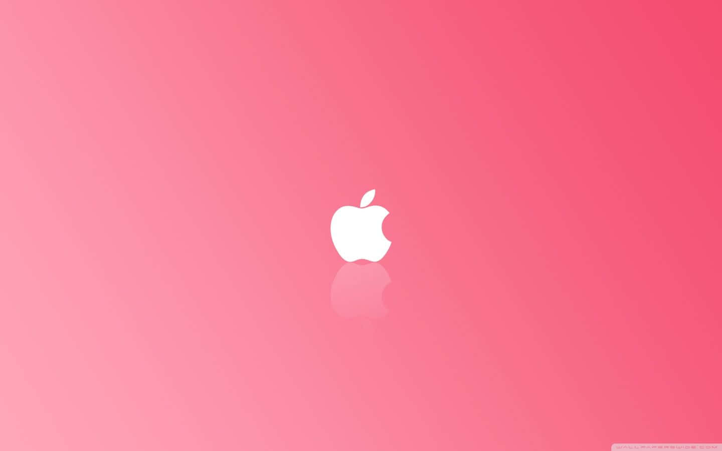 白色Apple標誌在粉紅漸變背景上帶倒影