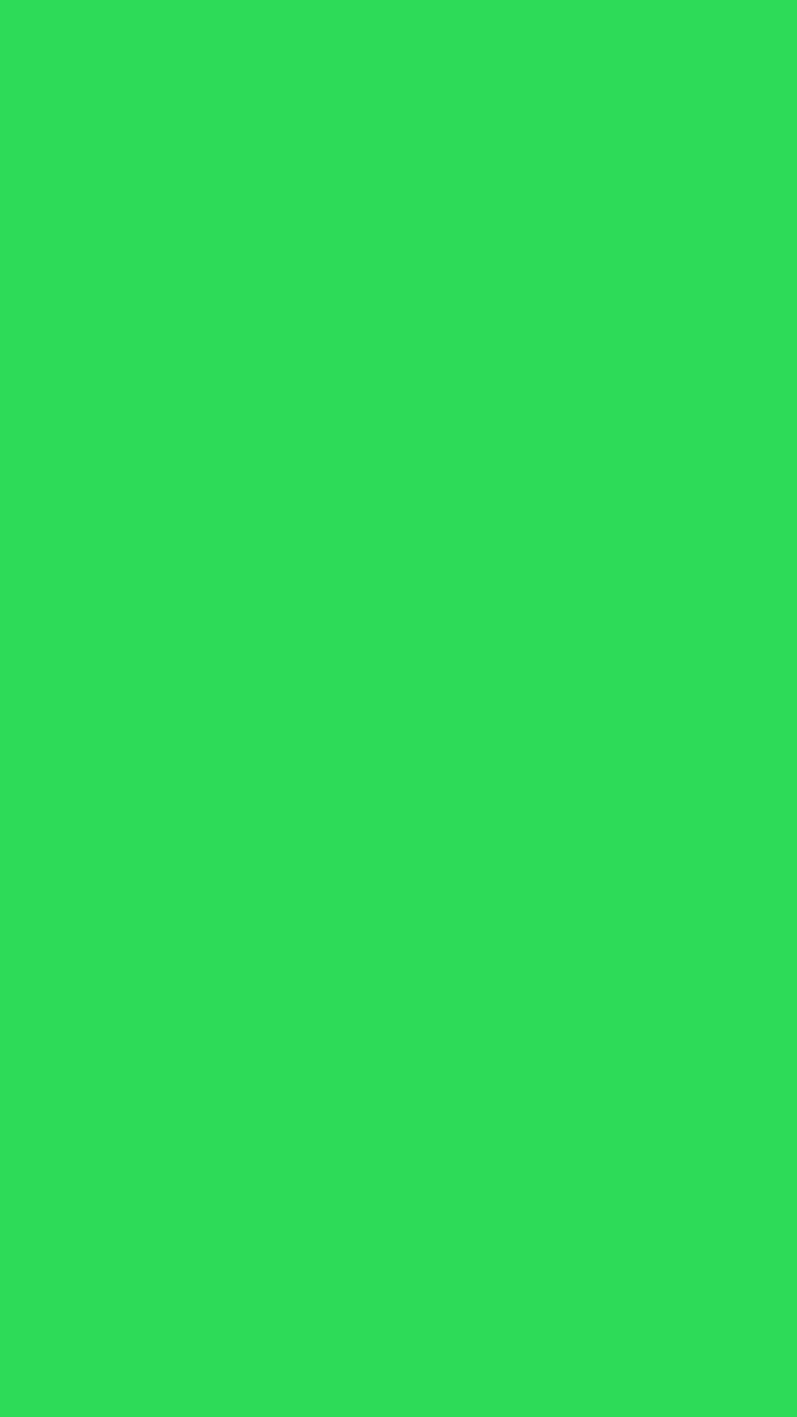 Neon Colors 桌布 壁紙 — 純色鮮豔的綠色背景填滿整個畫面，沒有變化或細節。