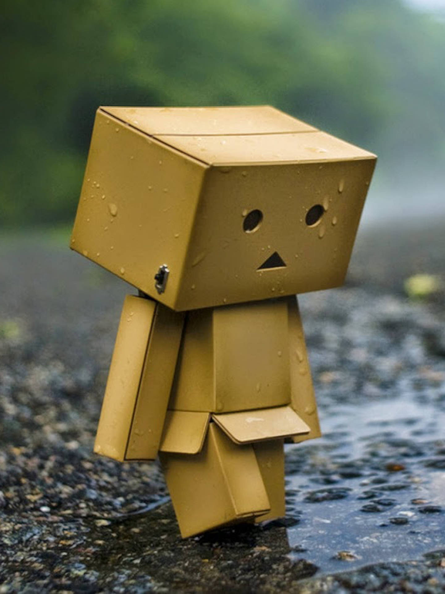 一個細小的黃色紙盒公仔站在雨中濕漉漉的行人路上。