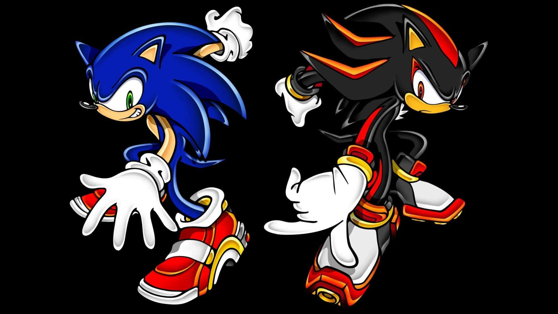 Sonic Adventure HD 桌布 壁紙 — 索尼克和暗影刺蝟在黑色背景上以動態奔跑姿勢呈現。