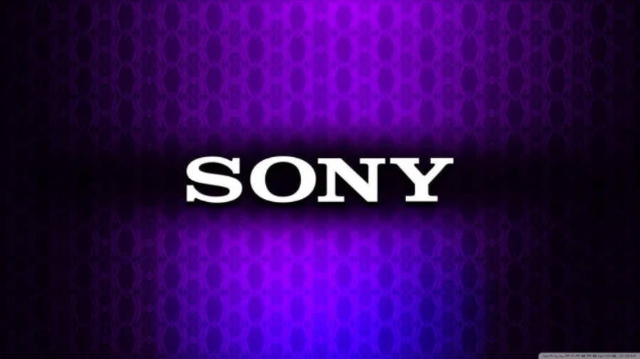 索尼標誌黑紫配色 壁紙 — 粗體白色SONY標誌居中於帶有重複圓形圖案的紫色漸變背景上。