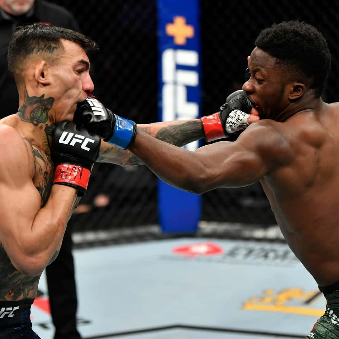 兩名男性MMA拳手在UFC八角籠內互相出拳。