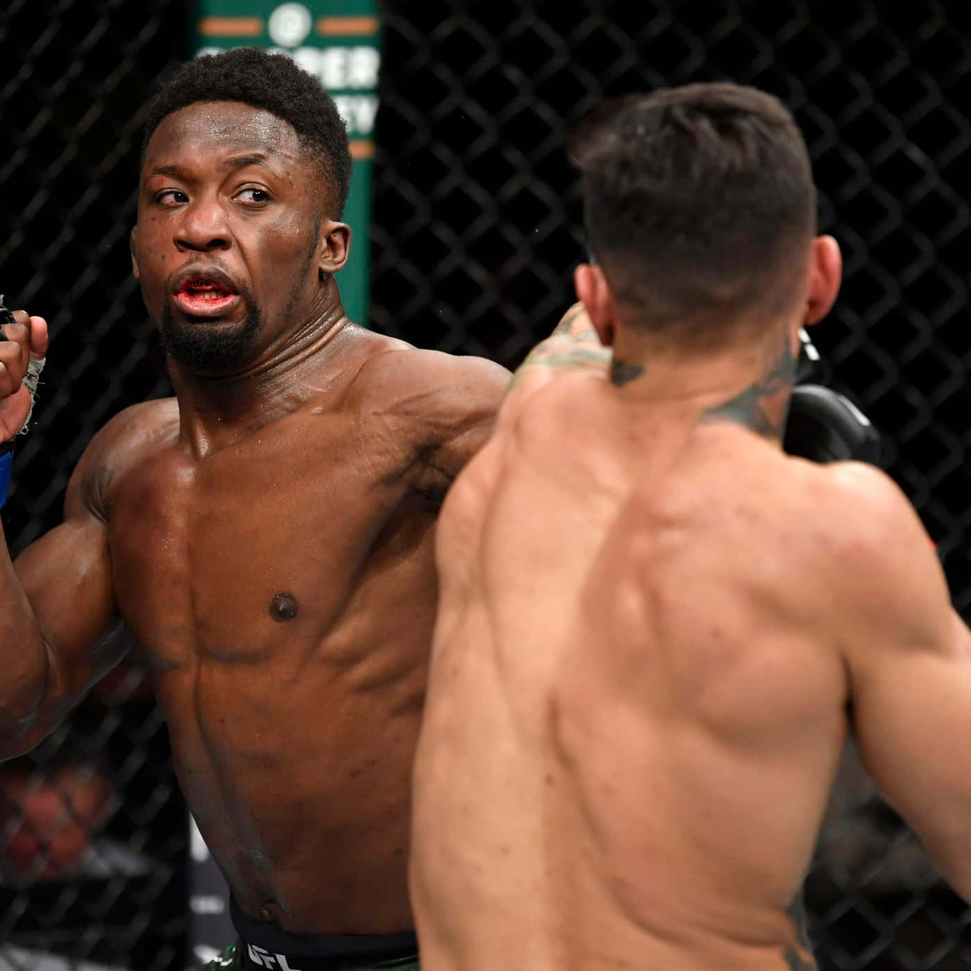 籠內的兩名MMA拳手，比賽中