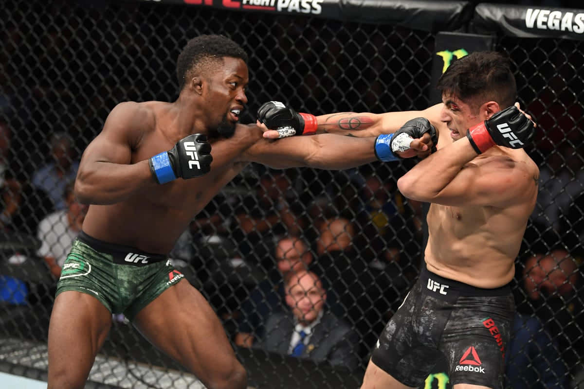 兩名男性MMA拳手在現場賽事中於UFC八角籠內作戰。