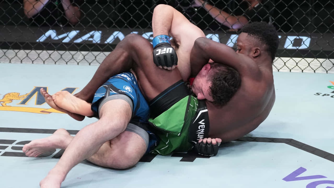 兩名MMA拳手在UFC八角籠內比賽中被鎖喉鎖住。