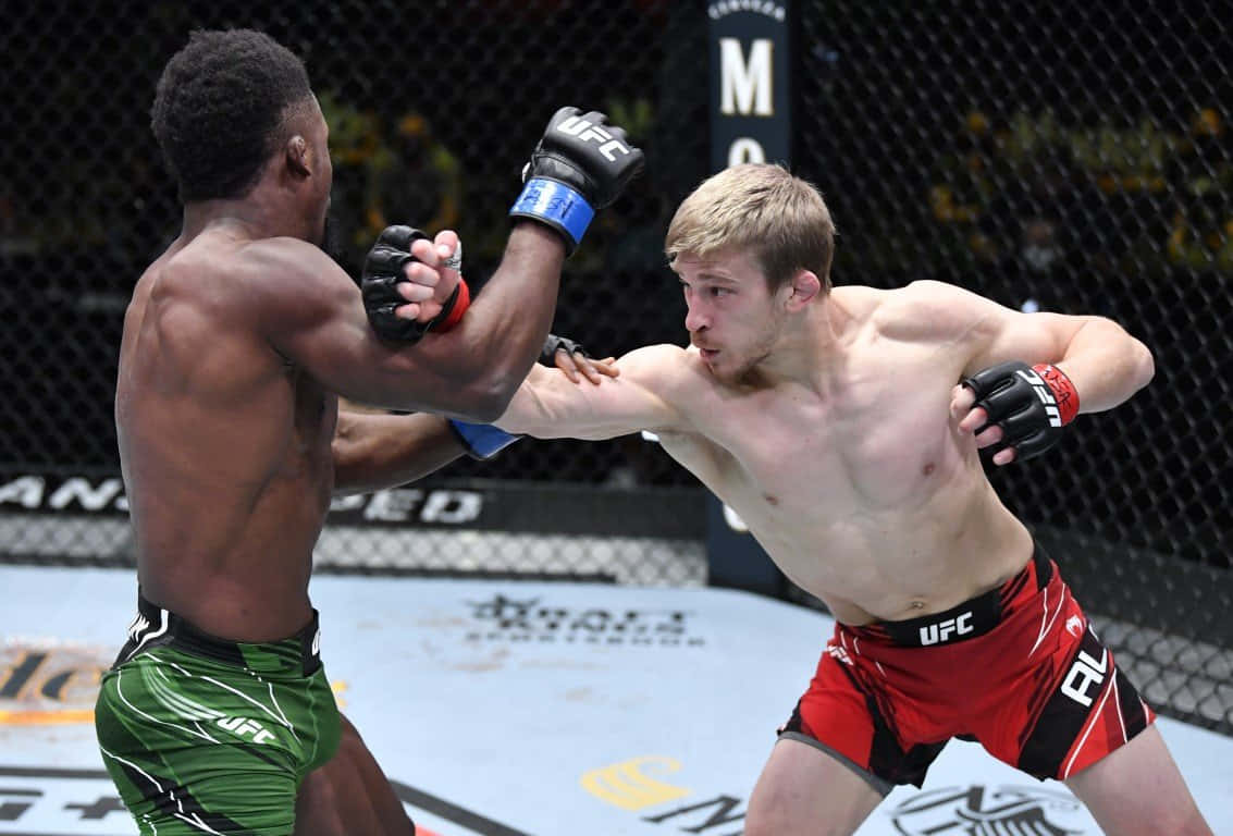 兩名男性MMA拳手在八角籠內互相出拳，進行UFC比賽。