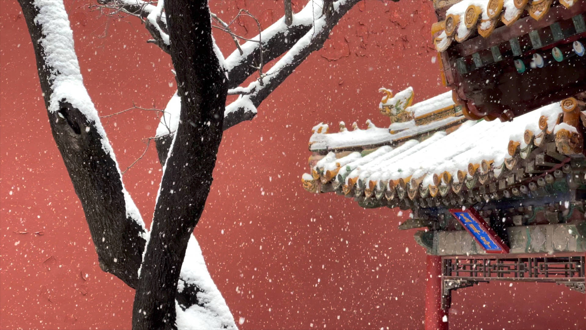 雪落在樹木和傳統屋頂上，映襯著紅牆。
