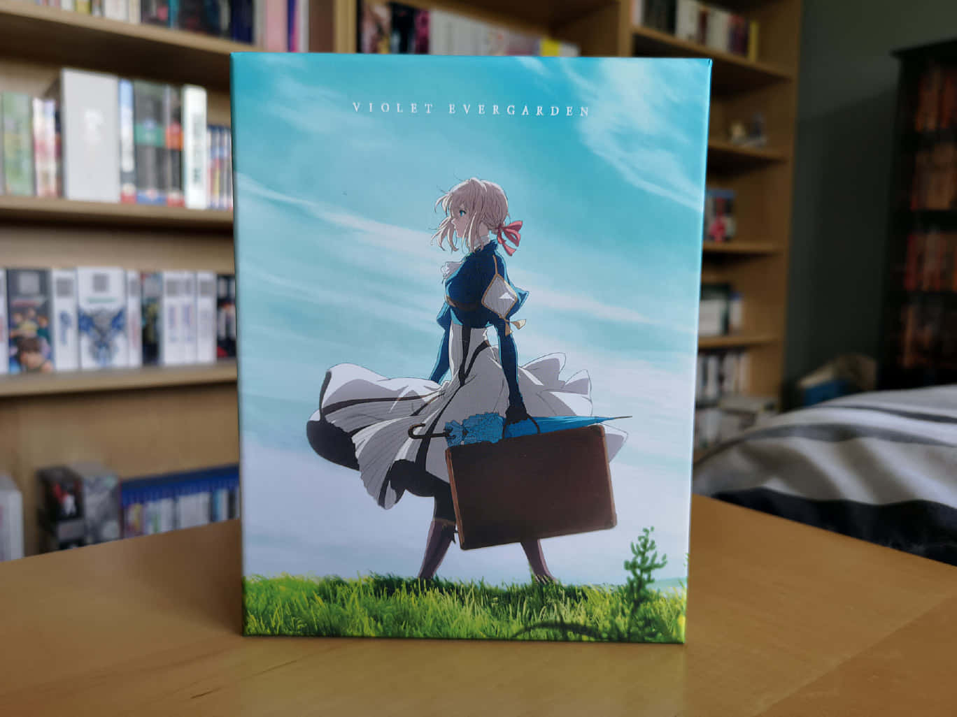《紫羅蘭永恆花園》小說書籍照片 壁紙 — 動畫角色 Violet Evergarden 站在草地上，在明亮的藍天下拿著手提箱。