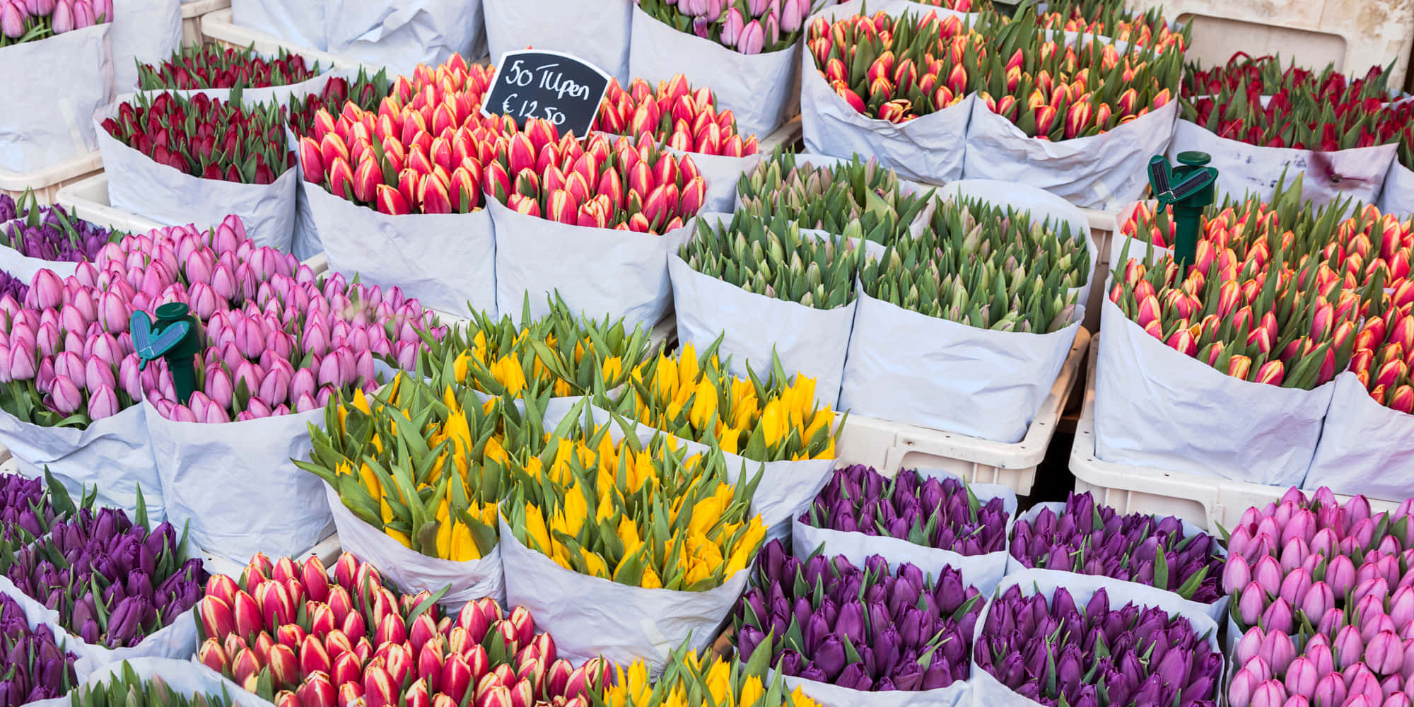 Flower Market 桌布 壁紙 — 紫色、粉紅色、黃色和紅色的鮮豔鬱金香在繁忙的花市攤位的白色袋子中盛開。
