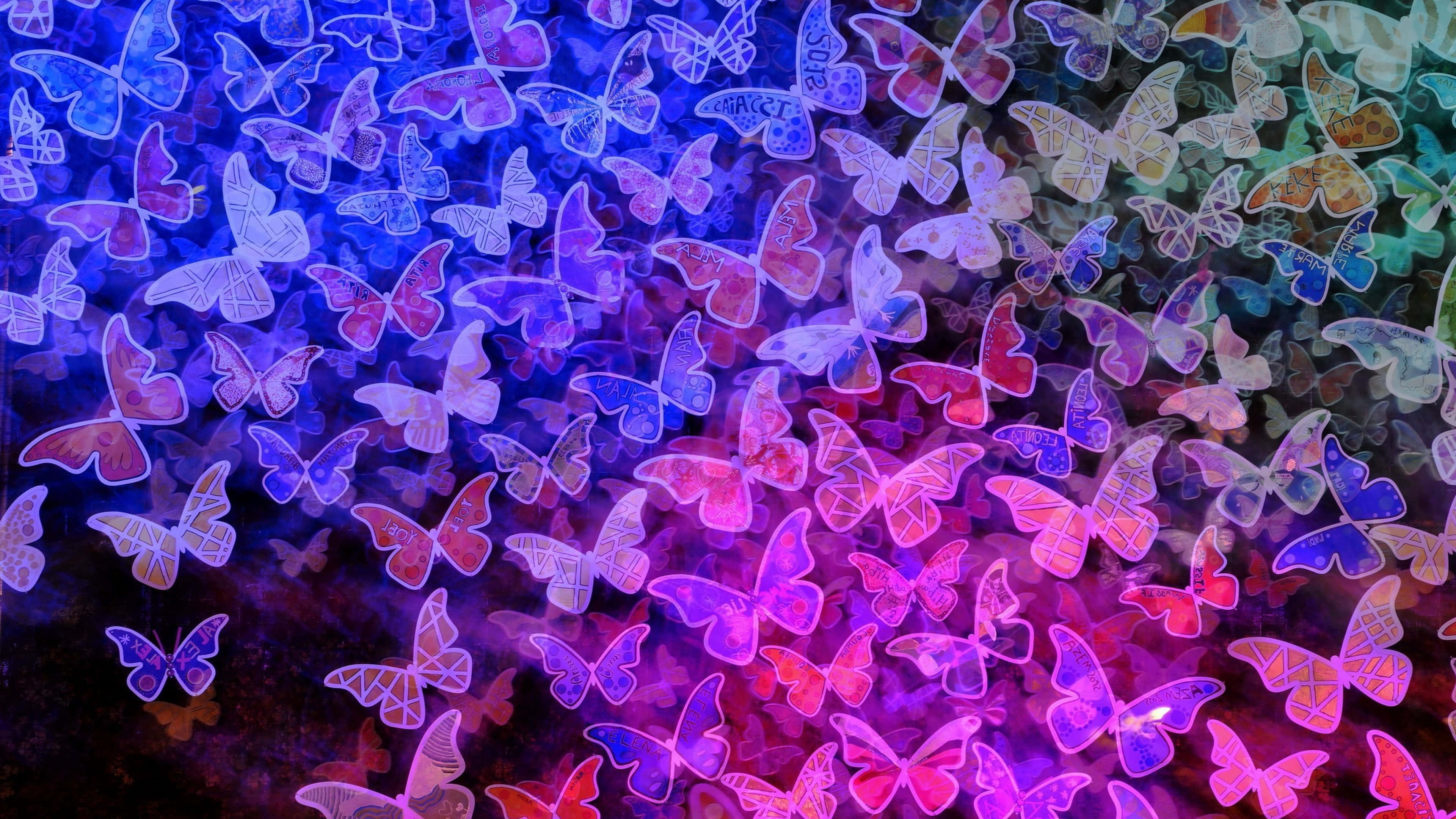 Emerging Butterfly 桌布 壁紙 — 紫色、粉紅色和藍色的鮮豔漸變蝴蝶，帶有發光輪廓，在深色背景上飛舞。