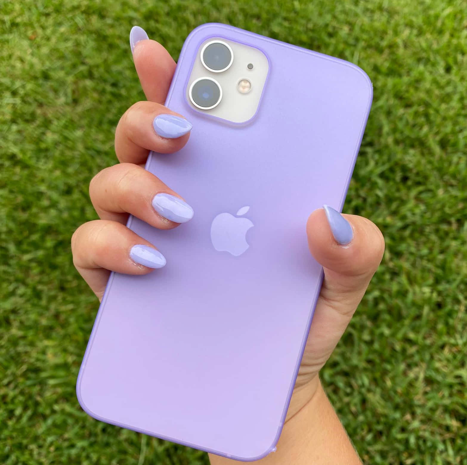 手在綠色草地上拿著薰衣草色iPhone，搭配相配的指甲油。 — 紫色美學 壁紙