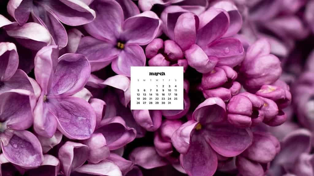 March Desktop 桌布 壁紙 — 紫色丁香花的特寫，三月日曆置於花卉背景中央。
