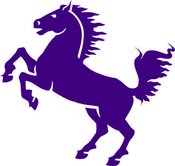 紫色剪影騰躍駿馬 壁紙