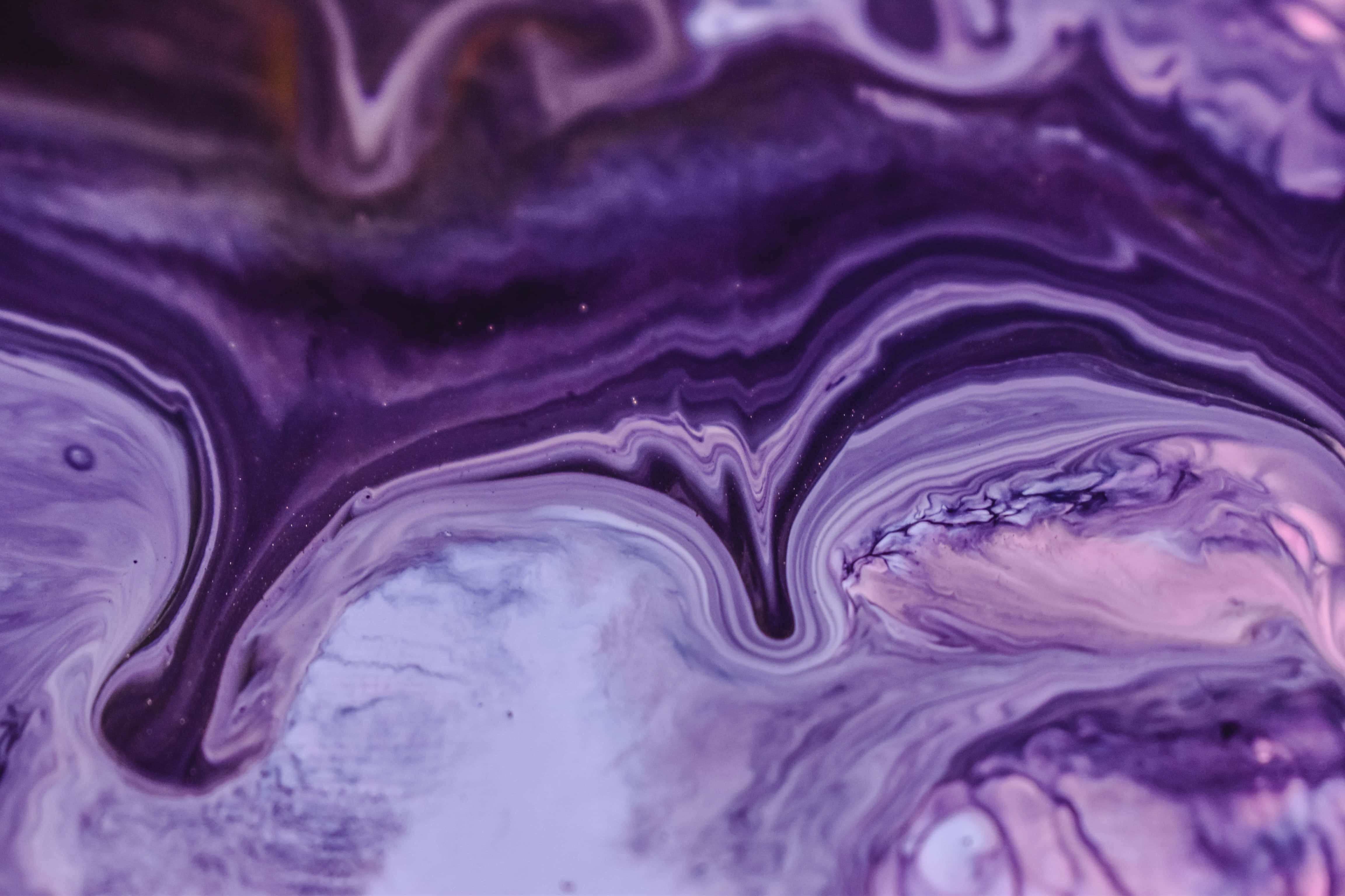 Purple Marble 桌布 壁紙 — 紫色和白色液體顏料旋轉形成有機流動的抽象圖案的近距離特寫。