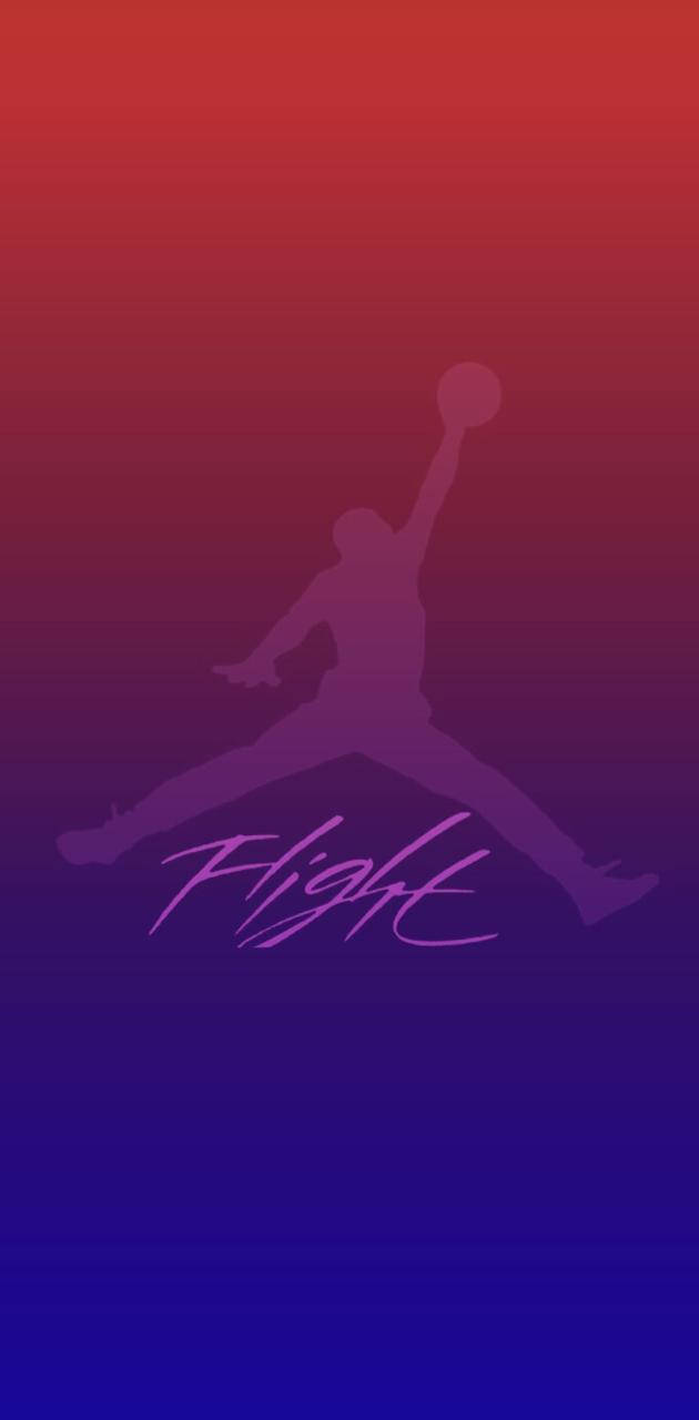 籃球運動員剪影在漸變背景上入樽，帶有「Flight」文字。