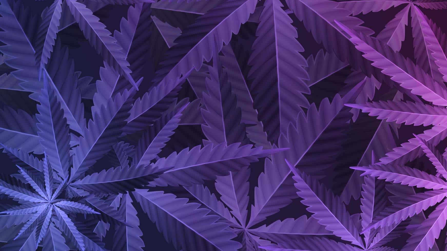 發光抽象圖案中的紫色大麻葉。