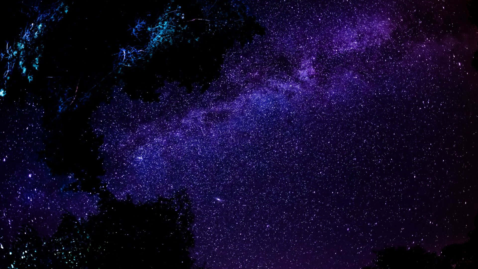 紫色深空圖像 壁紙 — 令人嘆為觀止的景色：一條充滿活力的紫色銀河，點綴著星星，被黑暗的樹枝剪影框住，映襯著深邃的夜空。