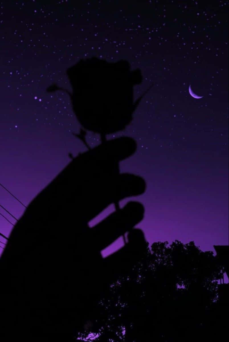 紫色美學手持玫瑰夜空剪影圖 壁紙 — 一隻手拿著玫瑰剪影，背景是充滿星星和新月的充滿活力的紫色夜空。